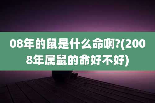 08年的鼠是什么命啊?(2008年属鼠的命好不好)