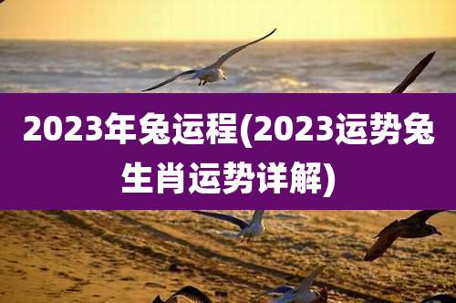 2023年兔运程(2023运势兔生肖运势详解)