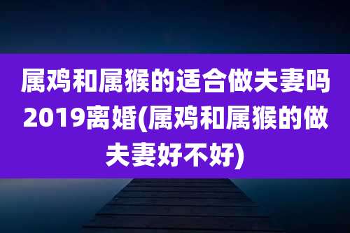 属鸡和属猴的适合做夫妻吗2019离婚(属鸡和属猴的做夫妻好不好)