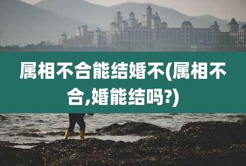 属相不合能结婚不(属相不合,婚能结吗?)