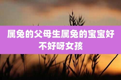 属兔的父母生属兔的宝宝好不好呀女孩