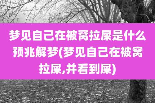 梦见自己在被窝拉屎是什么预兆解梦(梦见自己在被窝拉屎,并看到屎)