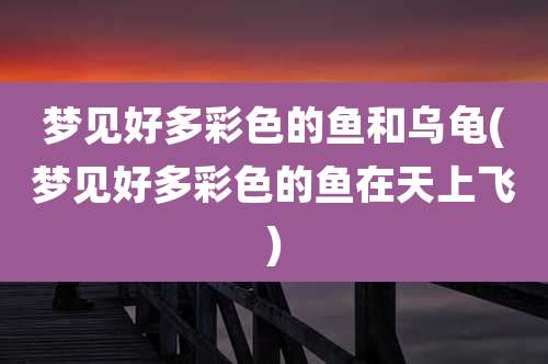 梦见好多彩色的鱼和乌龟(梦见好多彩色的鱼在天上飞)