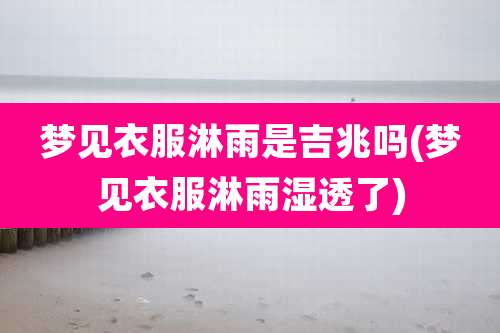 梦见衣服淋雨是吉兆吗(梦见衣服淋雨湿透了)