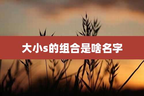 大小s的组合是啥名字