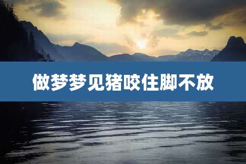 做梦梦见猪咬住脚不放