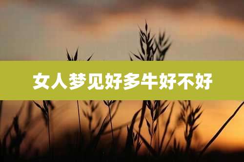 女人梦见好多牛好不好