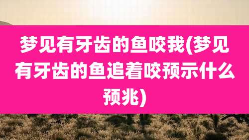 梦见有牙齿的鱼咬我(梦见有牙齿的鱼追着咬预示什么预兆)