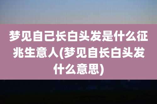 梦见自己长白头发是什么征兆生意人(梦见自长白头发什么意思)