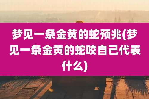 梦见一条金黄的蛇预兆(梦见一条金黄的蛇咬自己代表什么)