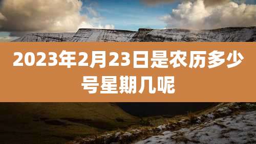 2023年2月23日是农历多少号星期几呢
