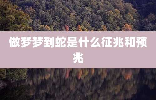 做梦梦到蛇是什么征兆和预兆