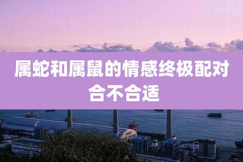 属蛇和属鼠的情感终极配对 合不合适