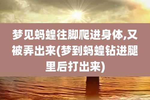 梦见蚂蝗往脚爬进身体,又被弄出来(梦到蚂蝗钻进腿里后打出来)