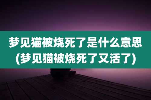 梦见猫被烧死了是什么意思(梦见猫被烧死了又活了)
