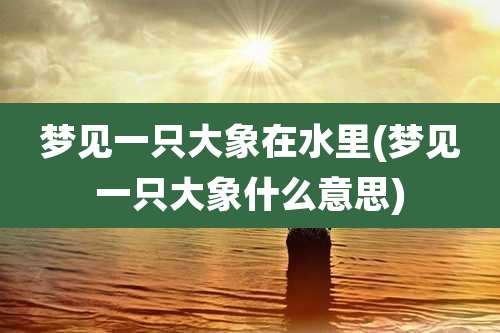 梦见一只大象在水里(梦见一只大象什么意思)