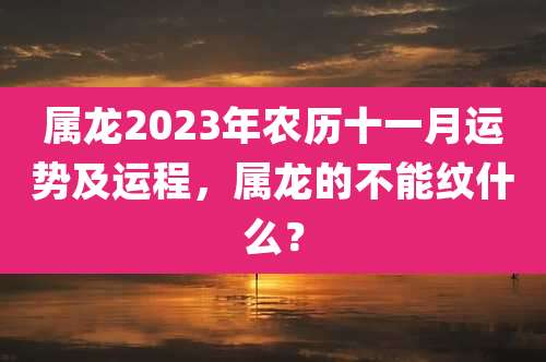 属龙2023年农历十一月运势及运程,属龙的不能纹什么?