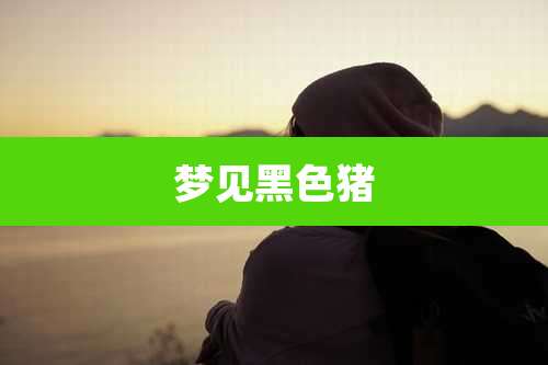 梦见黑色猪