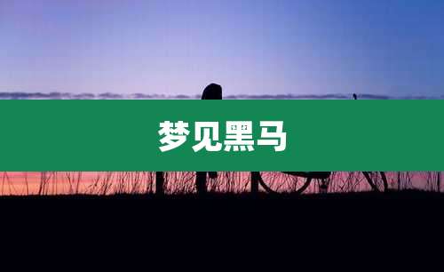 梦见黑马