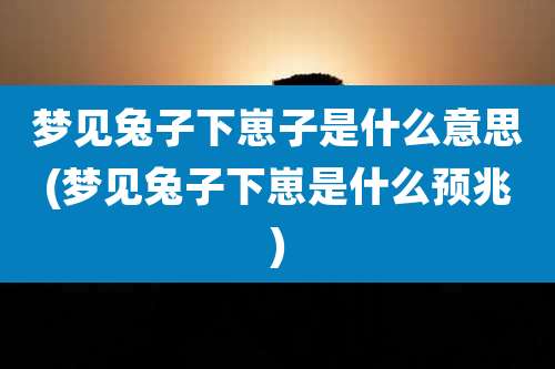 梦见兔子下崽子是什么意思(梦见兔子下崽是什么预兆)