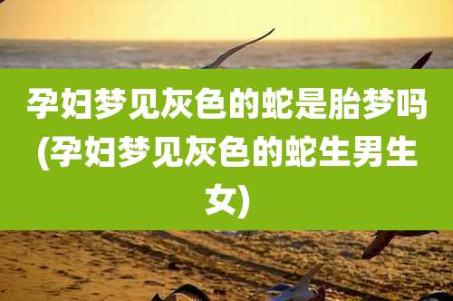 孕妇梦见灰色的蛇是胎梦吗(孕妇梦见灰色的蛇生男生女)