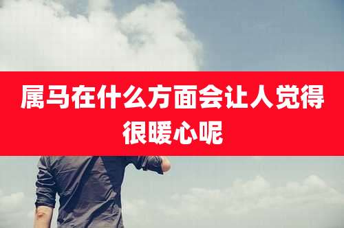 属马在什么方面会让人觉得很暖心呢