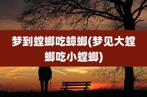 梦到螳螂吃蟑螂(梦见大螳螂吃小螳螂)