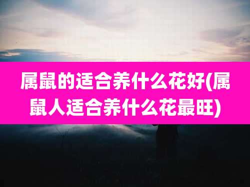 属鼠的适合养什么花好(属鼠人适合养什么花最旺)