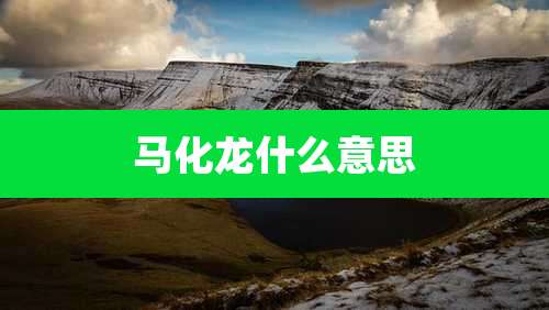 马化龙什么意思