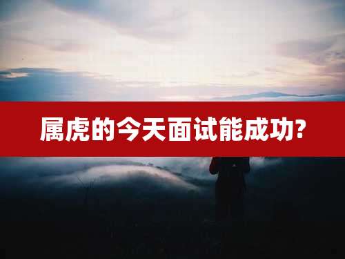 属虎的今天面试能成功?