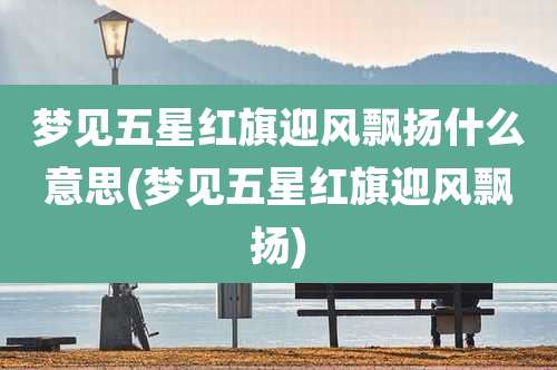 梦见五星红旗迎风飘扬什么意思(梦见五星红旗迎风飘扬)