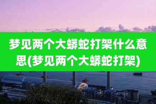 梦见两个大蟒蛇打架什么意思(梦见两个大蟒蛇打架)