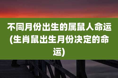 不同月份出生的属鼠人命运(生肖鼠出生月份决定的命运)