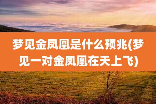 梦见金凤凰是什么预兆(梦见一对金凤凰在天上飞)