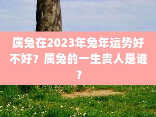属兔在2023年兔年运势好不好?属兔的一生贵人是谁?