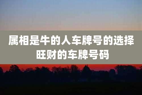 属相是牛的人车牌号的选择 旺财的车牌号码