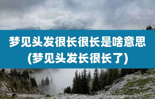 梦见头发很长很长是啥意思(梦见头发长很长了)