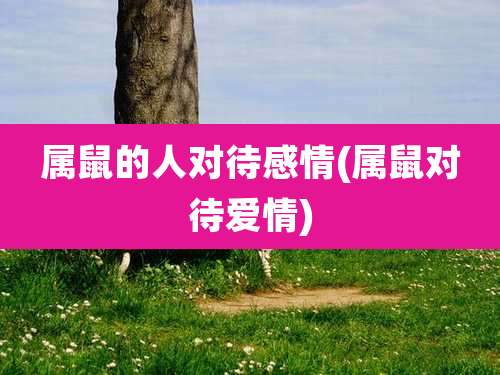 属鼠的人对待感情(属鼠对待爱情)