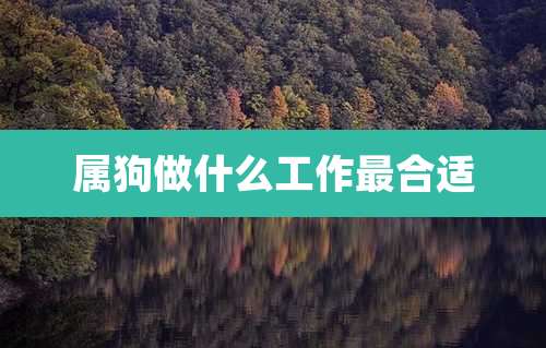 属狗做什么工作最合适