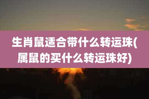 生肖鼠适合带什么转运珠(属鼠的买什么转运珠好)