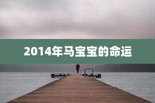 2014年马宝宝的命运