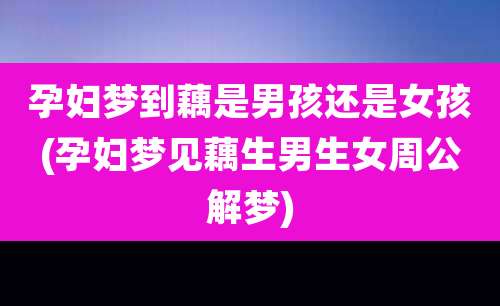 孕妇梦到藕是男孩还是女孩(孕妇梦见藕生男生女周公解梦)