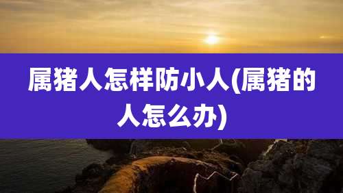 属猪人怎样防小人(属猪的人怎么办)