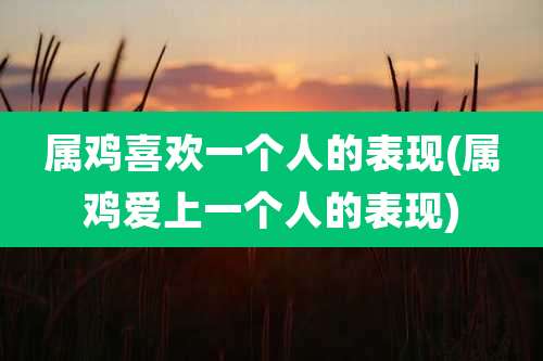 属鸡喜欢一个人的表现(属鸡爱上一个人的表现)