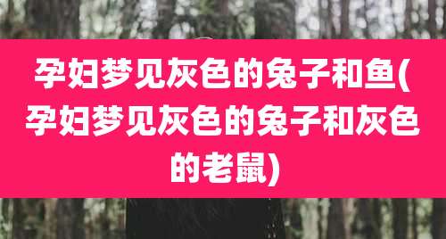 孕妇梦见灰色的兔子和鱼(孕妇梦见灰色的兔子和灰色的老鼠)