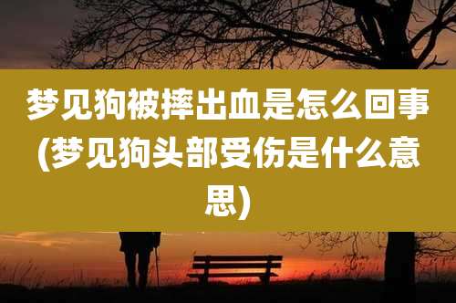 梦见狗被摔出血是怎么回事(梦见狗头部受伤是什么意思)