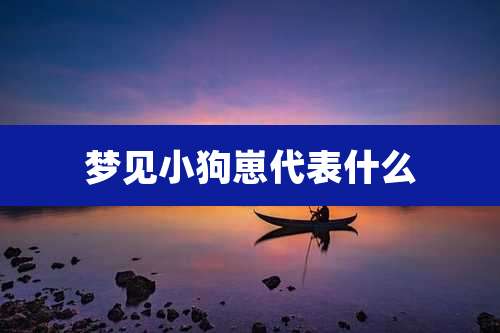 梦见小狗崽代表什么
