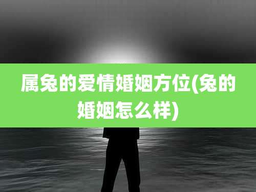 属兔的爱情婚姻方位(兔的婚姻怎么样)