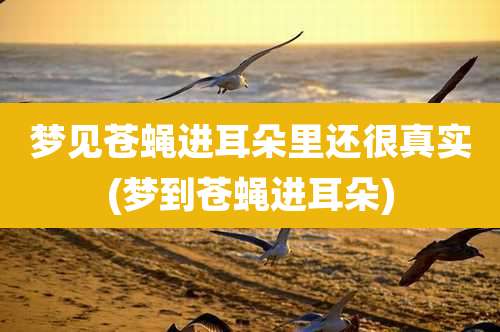 梦见苍蝇进耳朵里还很真实(梦到苍蝇进耳朵)