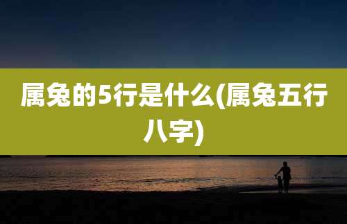 属兔的5行是什么(属兔五行八字)